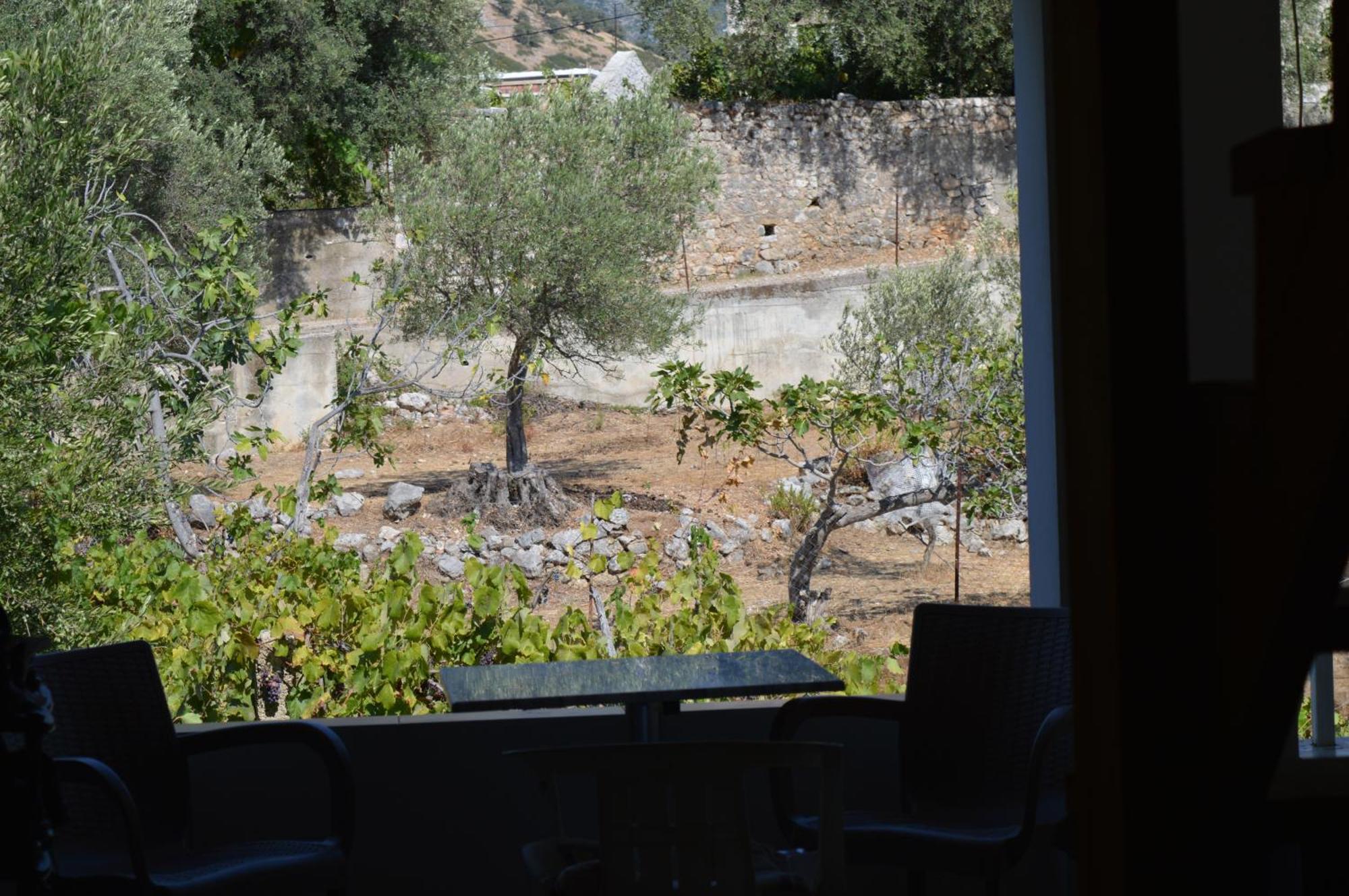 Tolis Rooms Himare Esterno foto