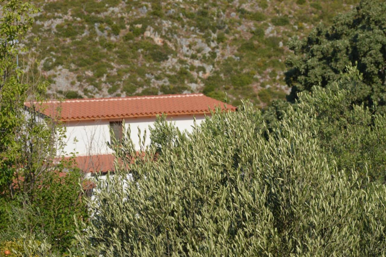 Tolis Rooms Himare Esterno foto