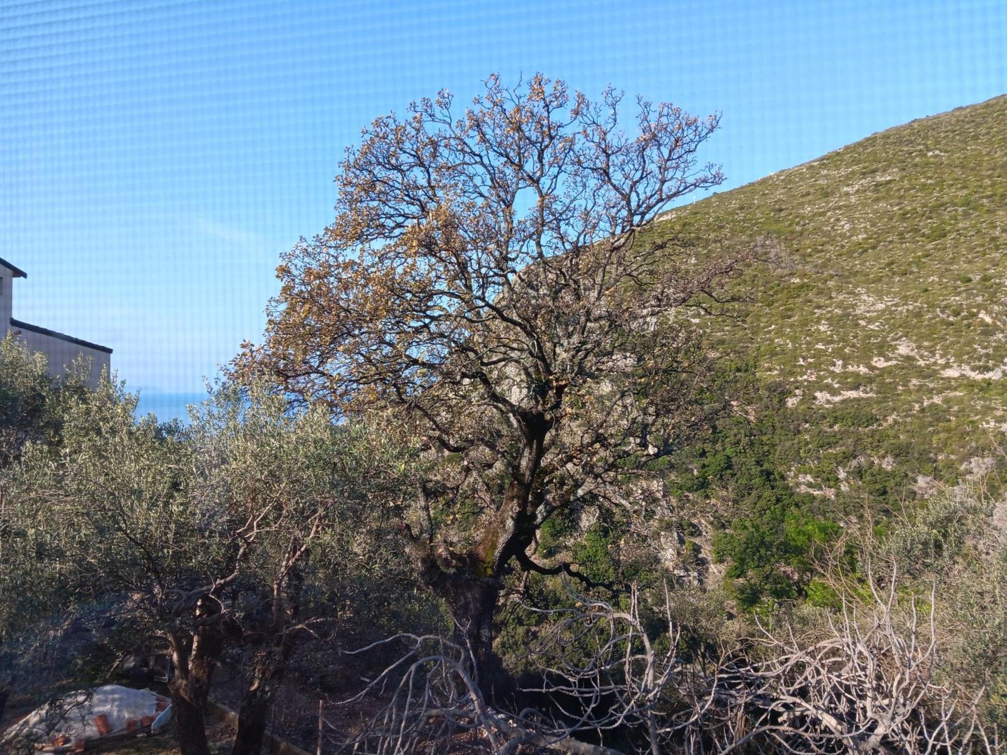 Tolis Rooms Himare Esterno foto